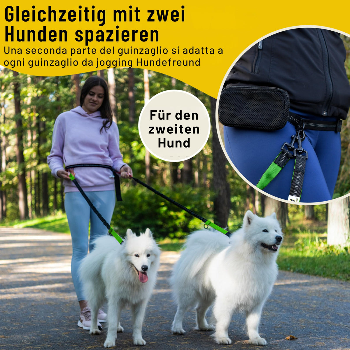 Bungeeteil für Joggingleine von Hundefreund in Grün-Schwarz, zwei Hunde an einem Bauchgurt