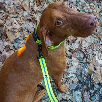 Weiches Hundehalsband von Hundefreund in Neon Gelb mit weichen Nähten ohne Scheuerstellen