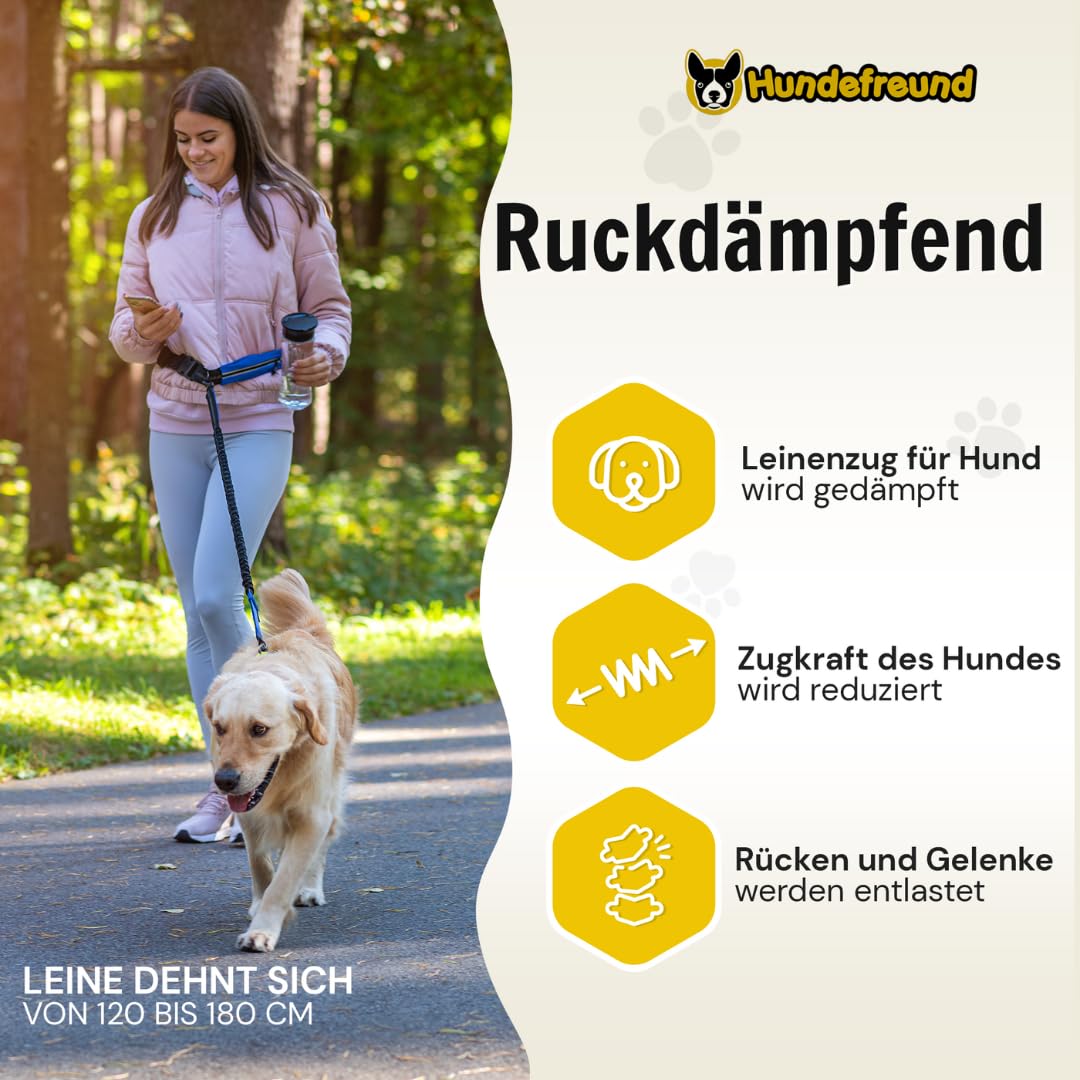 Joggingleine von Hundefreund in Blau mit Ruckdämpfung beim Laufen