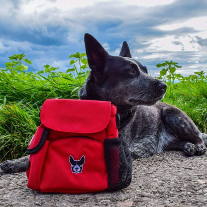 Futtertasche von Hundefreund in Rot beim Spaziergang mit Hund