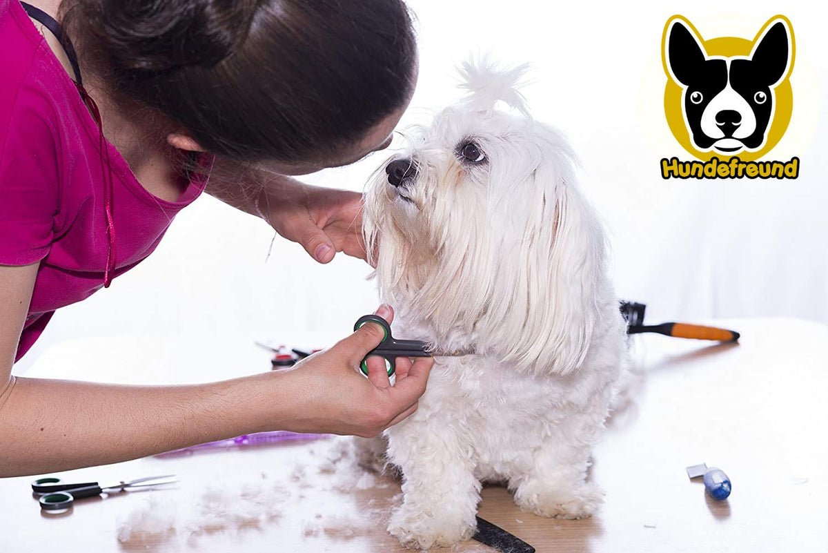 Hundeschere von Hundefreund mit verstellbarer Edelstahlschraube