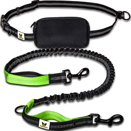 Joggingleine mit Laufgurt und Hüftbeutel – 120 bis 170 cm, Grün