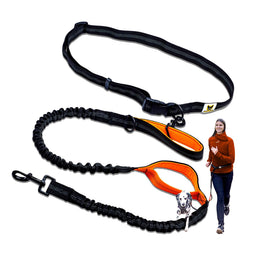 Joggingleine für große Hunde – 120 bis 170 cm, Orange