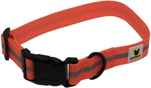 Weiches Hundehalsband von Hundefreund in Neon Orange mit weichem PVC als Material