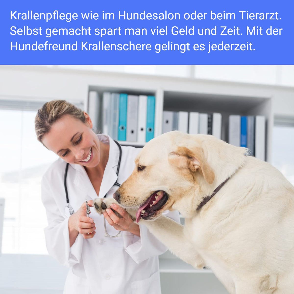 Krallenschere von Hundefreund bei der Krallenpflege wie im Hundesalon
