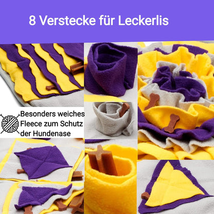 Schnüffelteppich von Hundefreund im Einsatz beim Suchspiel