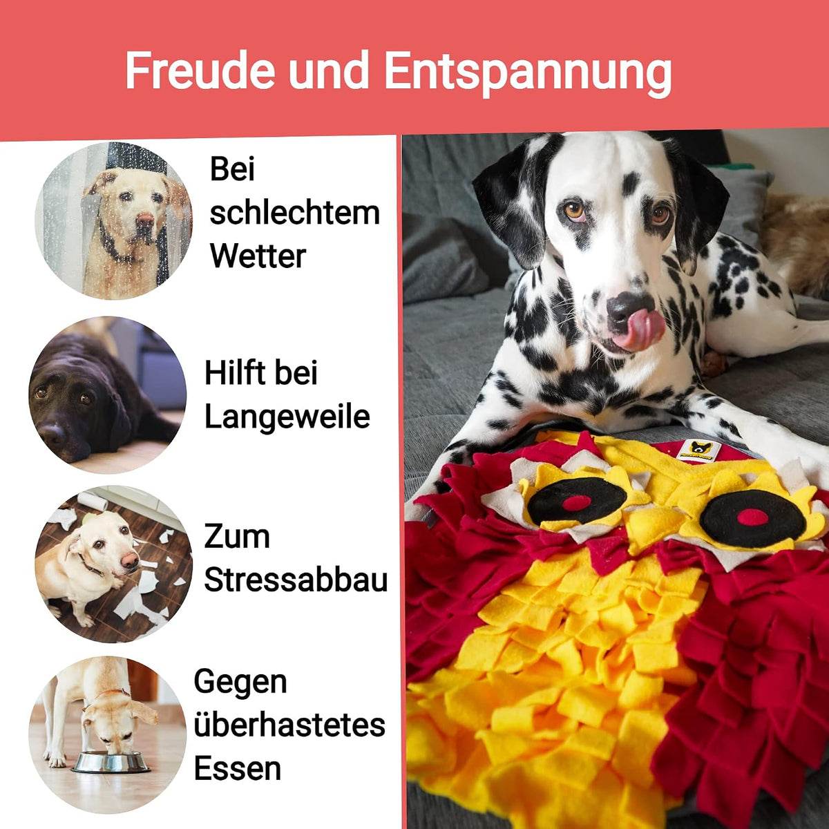 Kleiner Schnüffelteppich Eule von Hundefreund mit zwei integrierten Quietschern
