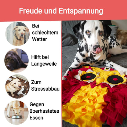 Kleiner Schnüffelteppich Eule von Hundefreund mit zwei integrierten Quietschern