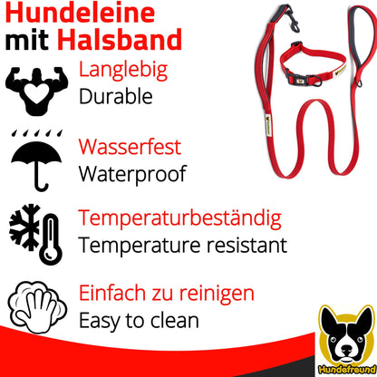 Set von Hundefreund in Rot: wasserfest, temperaturbeständig und leicht zu reinigen