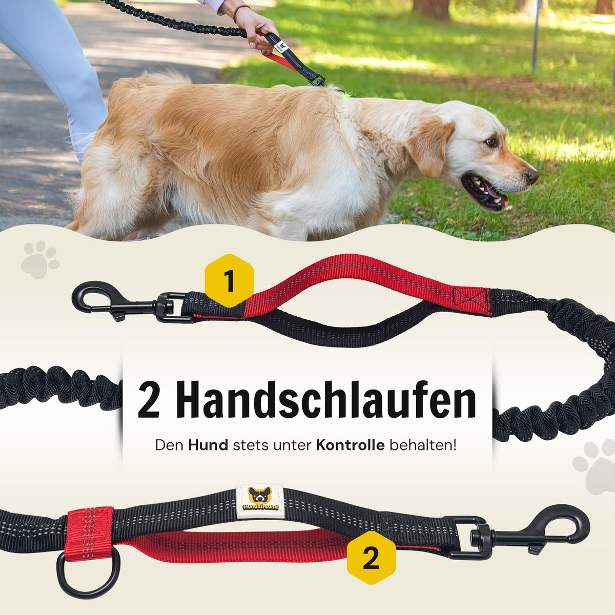 Joggingleine mit Bauchgurt in Schwarz für mittelgroße und große Hunde – Bild 6 von 7