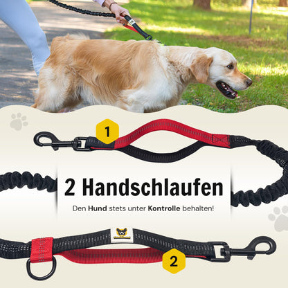 Joggingleine mit Bauchgurt in Schwarz für mittelgroße und große Hunde – Bild 6 von 7