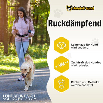 Joggingleine mit Bauchgurt in Schwarz für mittelgroße und große Hunde – Bild 5 von 7