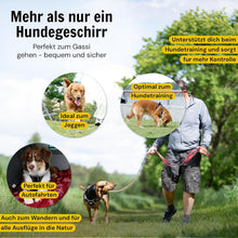 Hundegeschirr reflektierend von Hundefreund in Schwarz mit Frontring und Rückenring