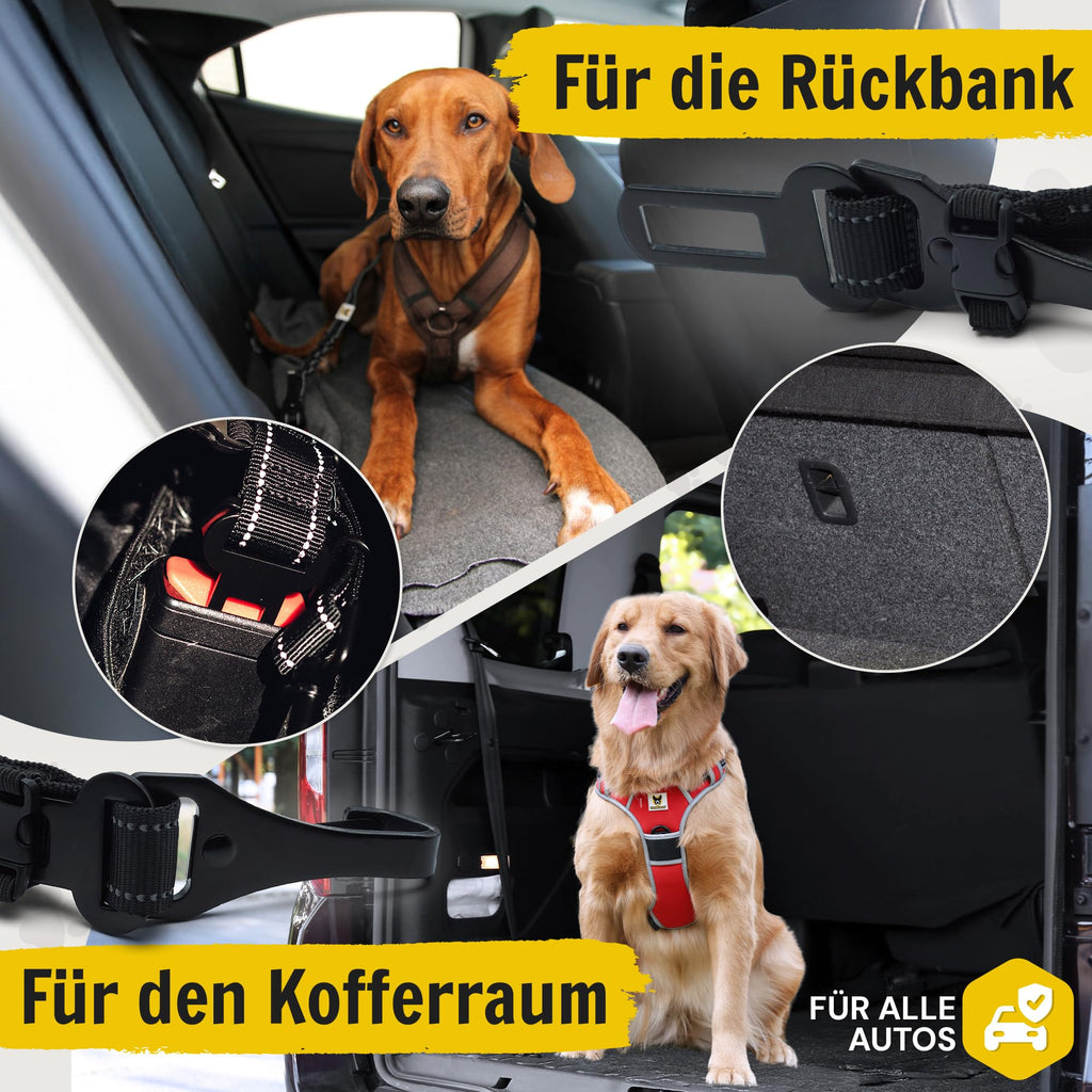 Hundegurt fürs Auto von Hundefreund in Rot mit Schlosszunge und Isofix-Schnalle