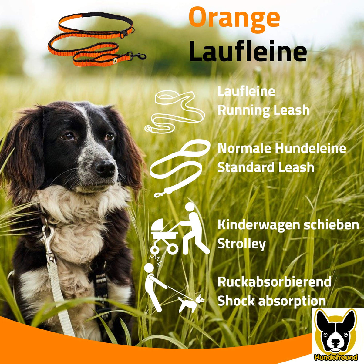 Laufleine von Hundefreund in Orange mit Hund im Grünen