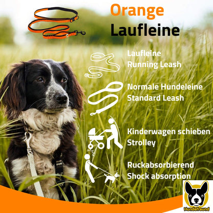 Laufleine von Hundefreund in Orange mit Hund im Grünen