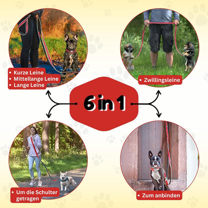 6-in-1 Multifunktionsleine von Hundefreund mit drei Ringen und zwei Karabinern