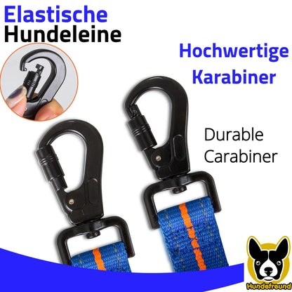 Elastische Führleine von Hundefreund in Blau-Orange mit hochwertigem Karabiner