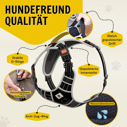 Hundegeschirr reflektierend von Hundefreund in Schwarz mit vier verstellbaren Gurten