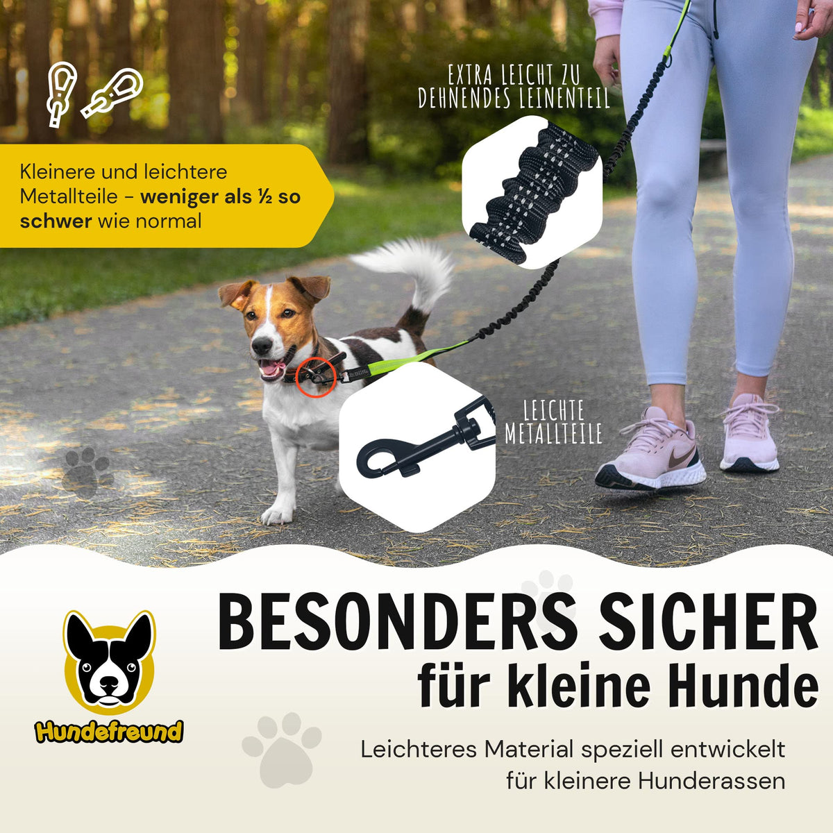 Joggingleine von Hundefreund in Grün, besonders sicher für kleine Hunde