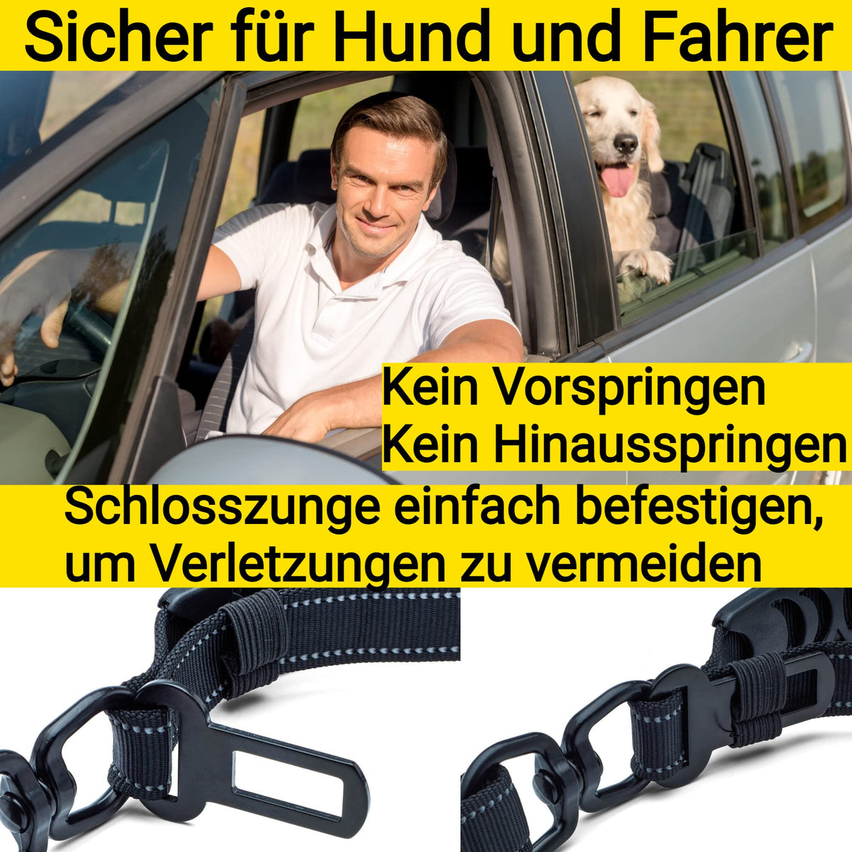 Autoleine von Hundefreund in Schwarz, Hund gesichert auf dem Rücksitz