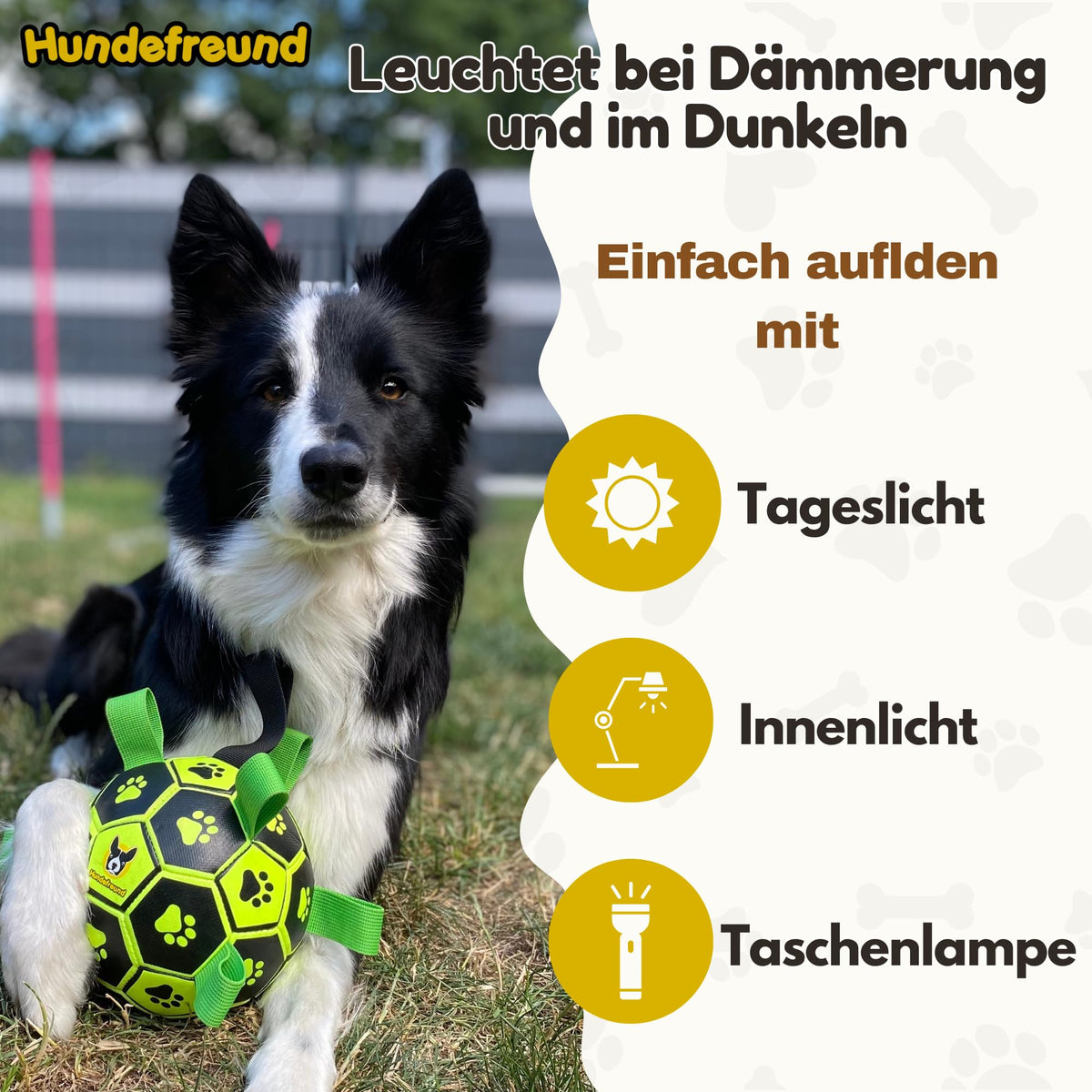 Hundefußball von Hundefreund in Grün, nachleuchtend in der Dämmerung, mit Hund