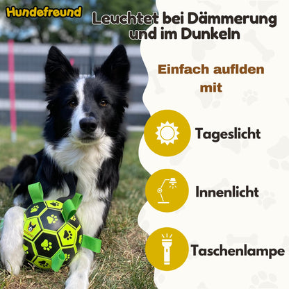 Hundefußball von Hundefreund in Grün, nachleuchtend in der Dämmerung, mit Hund