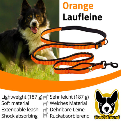 Laufleine von Hundefreund in Orange, 147 g leicht, beim Spaziergang mit Hund