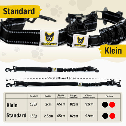 Hundegurt fürs Auto von Hundefreund in Schwarz, Größenvergleich Standard und Klein