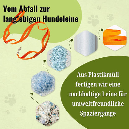 Recycelte Hundeleine von Hundefreund im Einsatz beim Gassi gehen