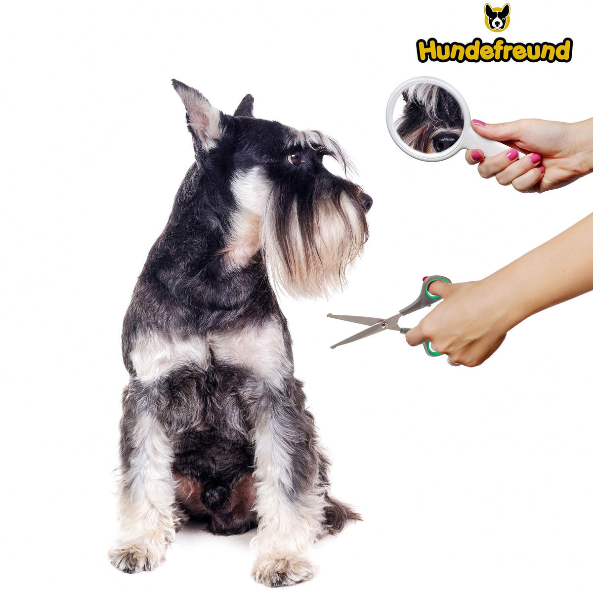 Hundeschere von Hundefreund mit abgerundeter Klingenspitze