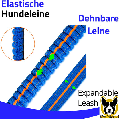 Elastische Führleine von Hundefreund in Blau-Orange, dehnbares Leinenteil