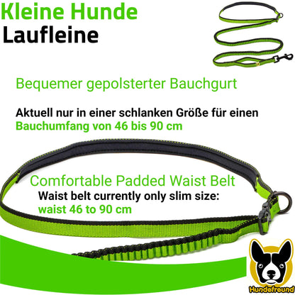 Laufleine von Hundefreund in Grün mit gepolstertem Bauchgurt von 46 bis 90 cm