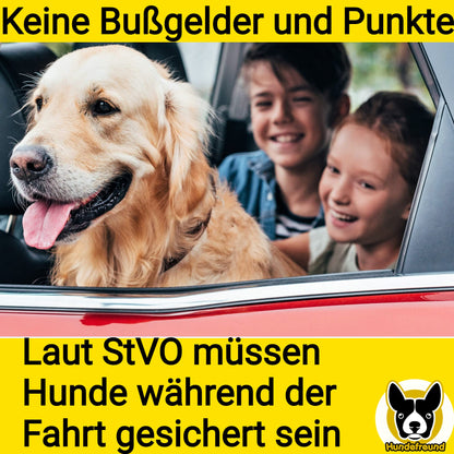 Autoleine von Hundefreund in Schwarz, Hinweis zur Sicherungspflicht nach StVO