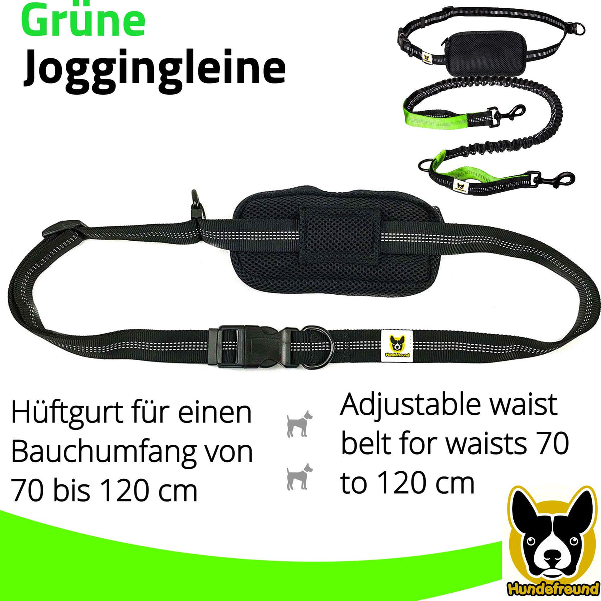 Joggingleine von Hundefreund in Grün mit dehnbarem Bungee-Leinenteil