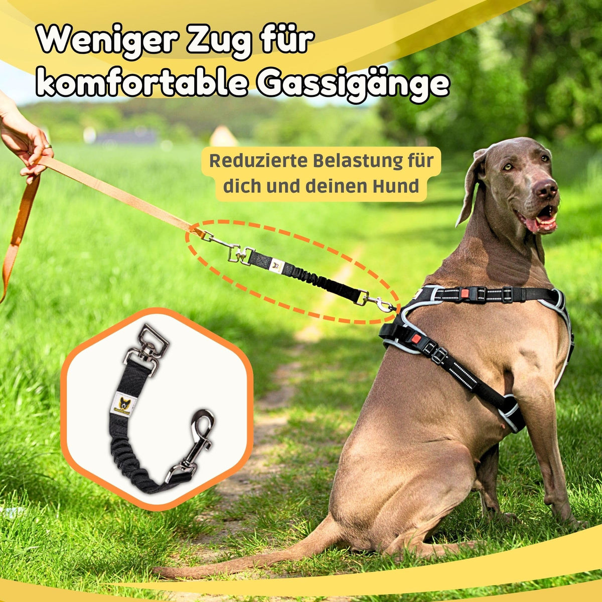 Ruckdämpfer von Hundefreund in Schwarz beim Gassi gehen mit Hund