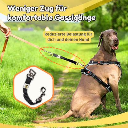 Ruckdämpfer von Hundefreund in Schwarz beim Gassi gehen mit Hund