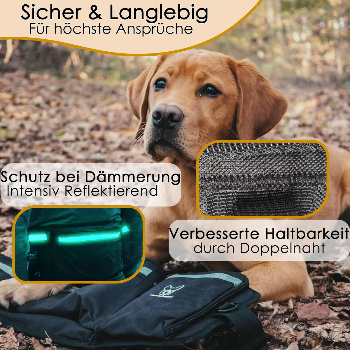 XXL-Leckerlitasche von Hundefreund in Schwarz beim langen Spaziergang mit Hund