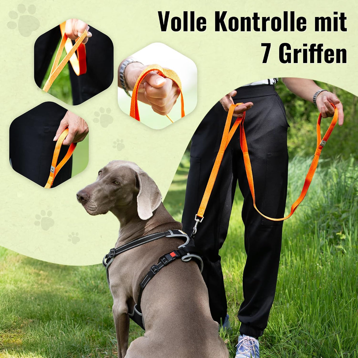 Recycelte Hundeleine von Hundefreund mit robustem Metallkarabiner