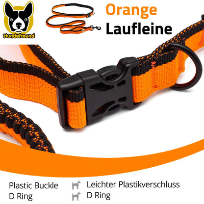 Laufleine von Hundefreund in Orange, Detail des Bauchgurts mit Verschluss