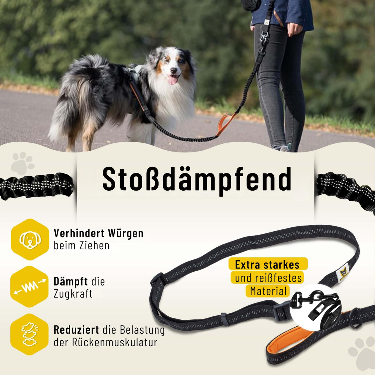 Joggingleine von Hundefreund in Orange mit Stoßdämpfung, Detail des Leinenteils