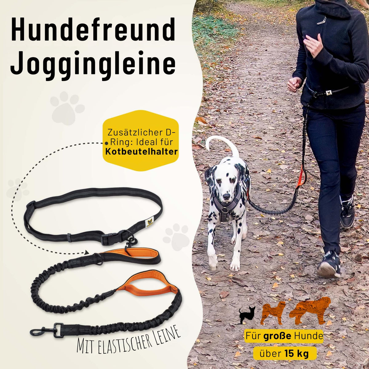 Joggingleine von Hundefreund in Orange beim Spaziergang mit zwei Hunden