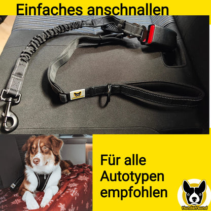 Autoleine von Hundefreund in Schwarz, am Gurtschloss des Autos eingeklickt