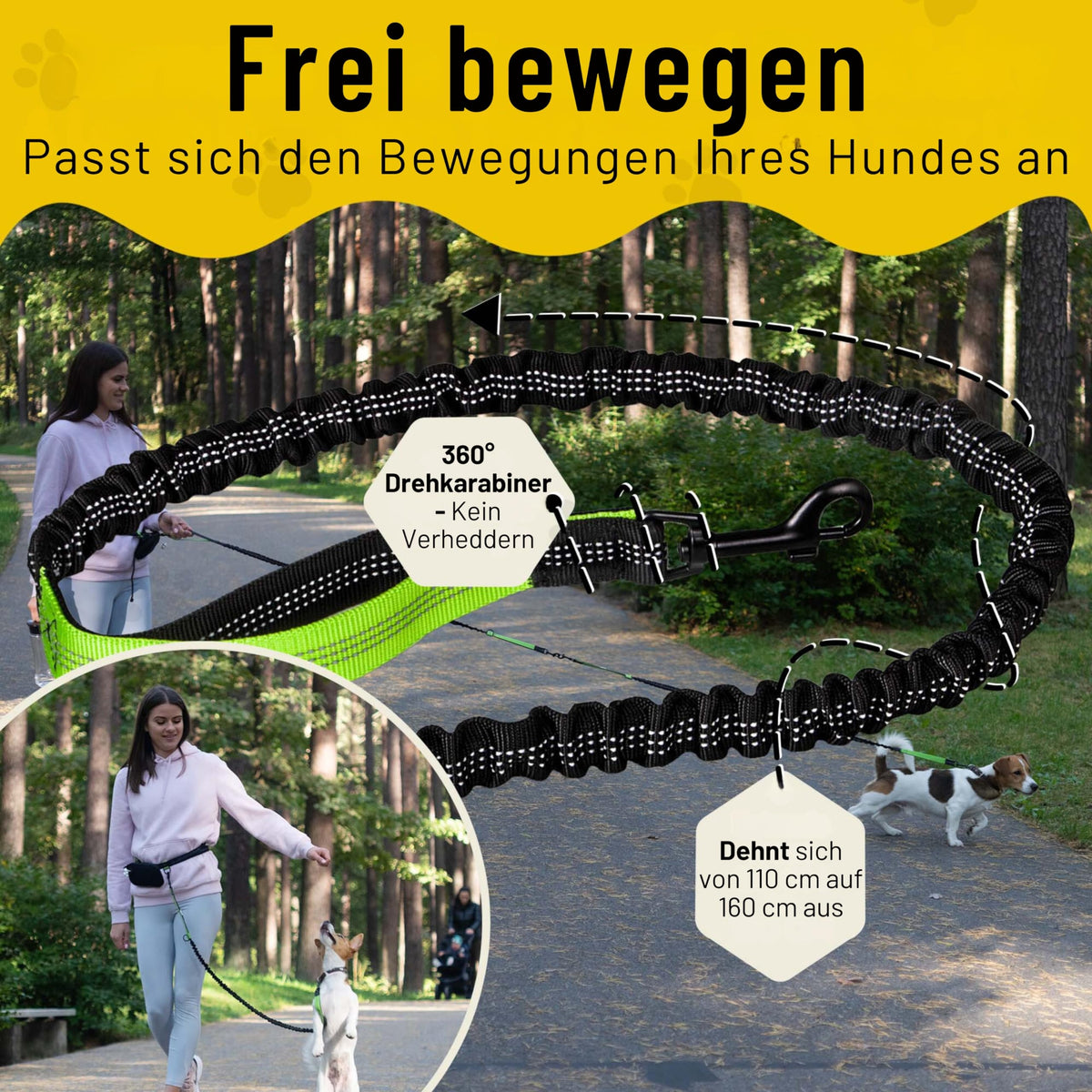 Bungeeteil von Hundefreund in Grün, gedehnt für freie Bewegung