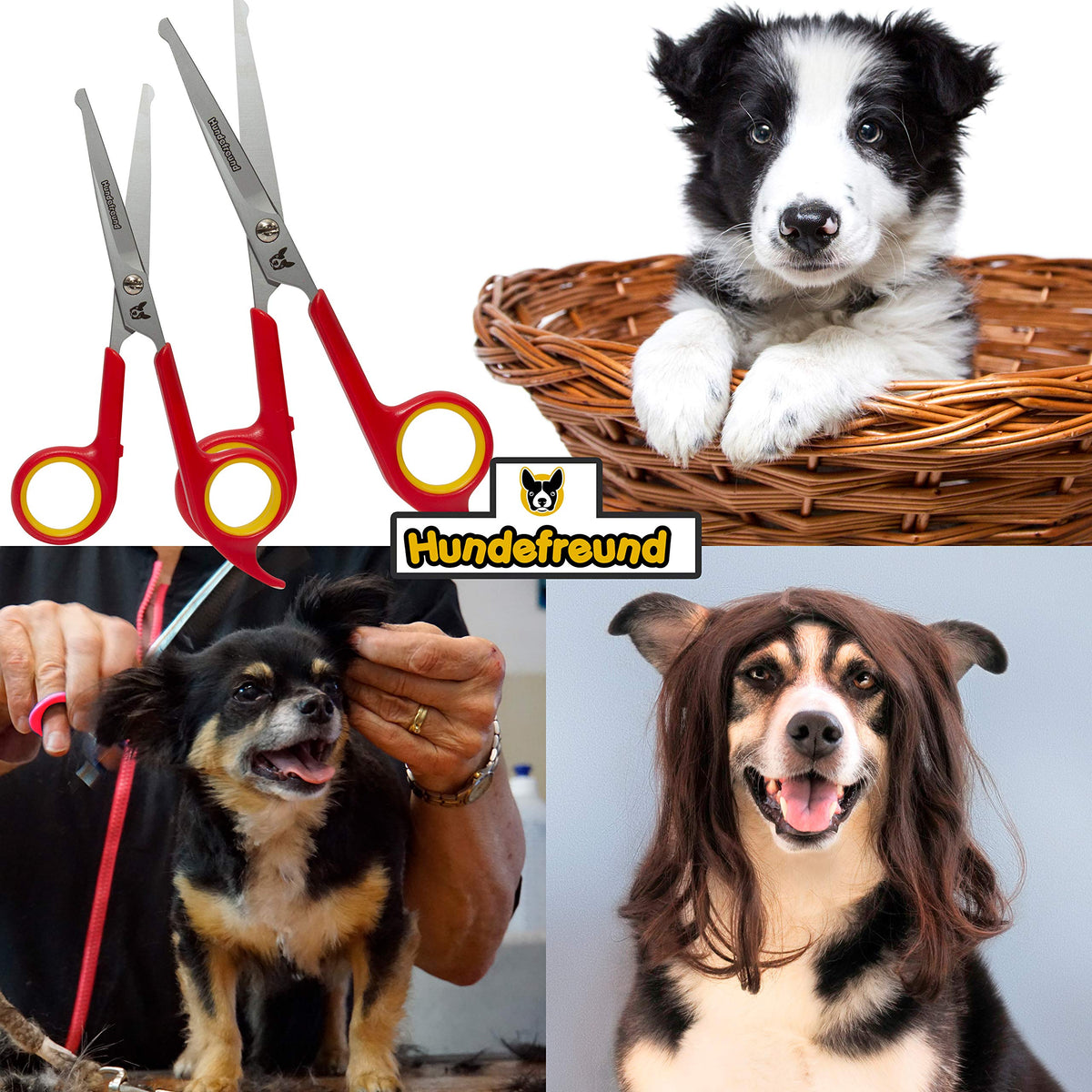 Hundescheren-Set von Hundefreund bei der Fellpflege eines Hundes
