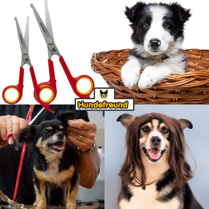 Hundescheren-Set von Hundefreund bei der Fellpflege eines Hundes
