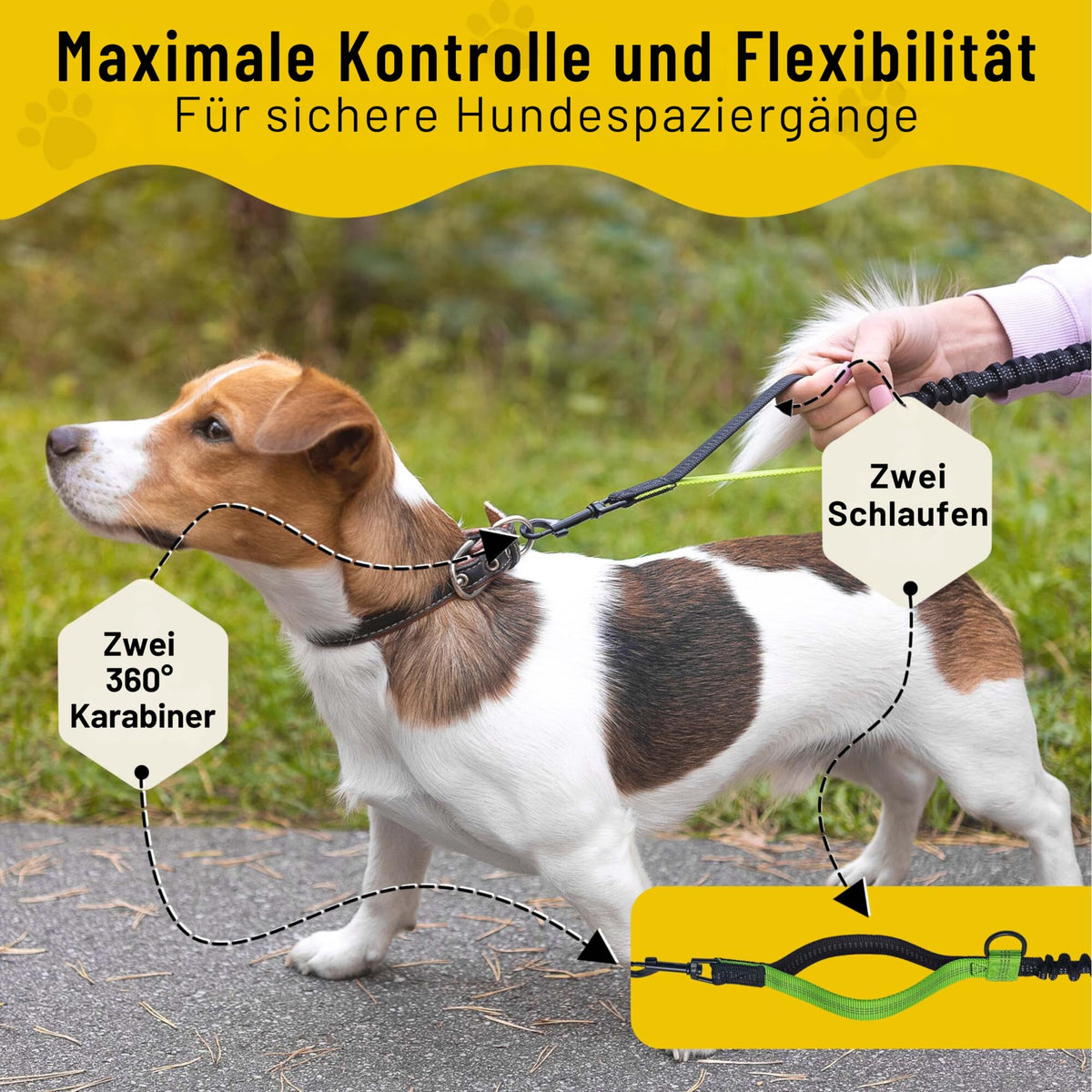 Bungeeteil von Hundefreund in Grün an einem kleinen Hund