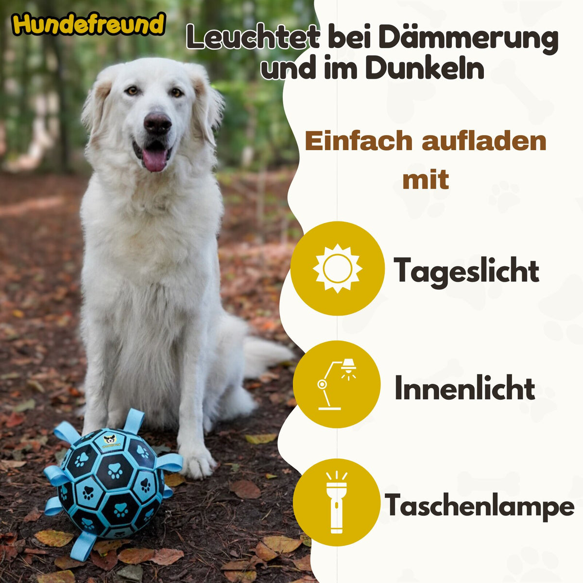 Hundefußball 18 cm von Hundefreund in Blau, leuchtet in der Dämmerung nach, Hund im Wald