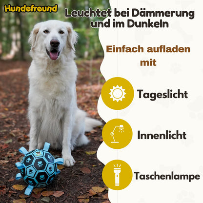 Hundefußball 18 cm von Hundefreund in Blau, leuchtet in der Dämmerung nach, Hund im Wald
