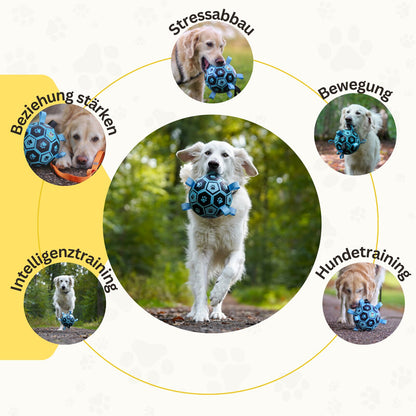 Hundefußball 18 cm von Hundefreund in Blau, Übersicht der Eigenschaften mit Hund